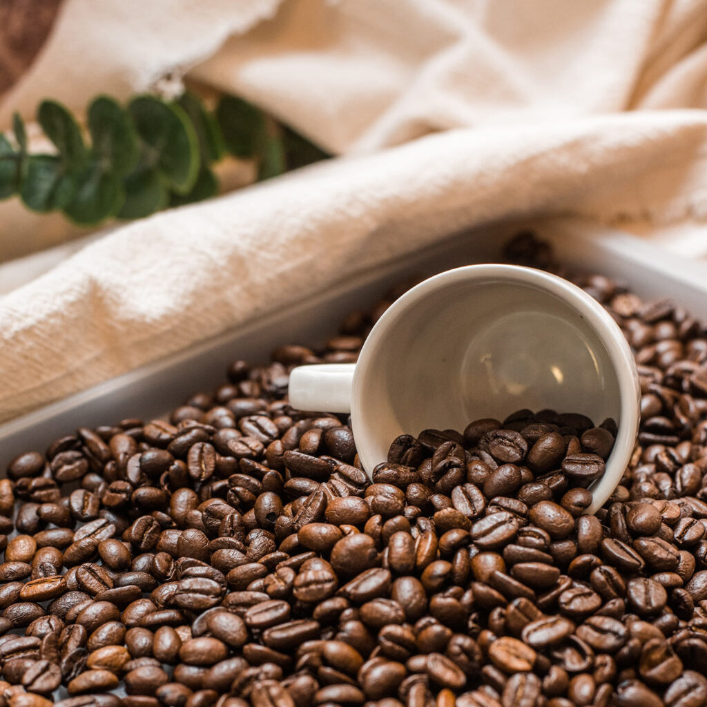 Five Eight Coffee Company in Kunkletown